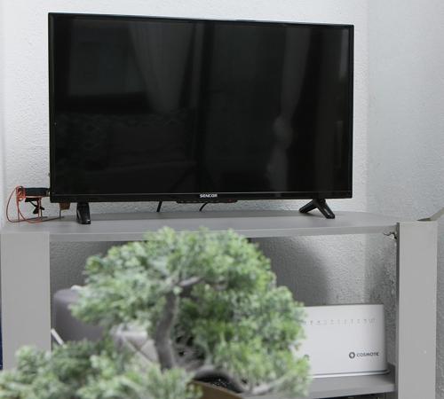 telewizor z płaskim ekranem siedzący na półce z rośliną w obiekcie Olia Garden w mieście Pachis