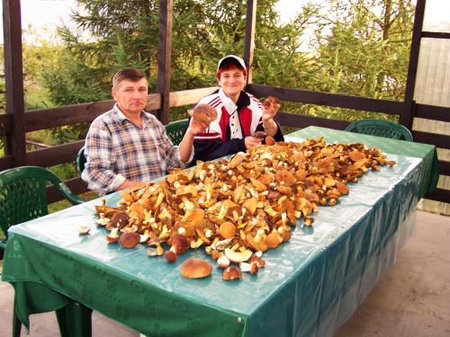 two men sitting at a table full of mushrooms at Biebrza24 - Agroturystyka in Sztabin