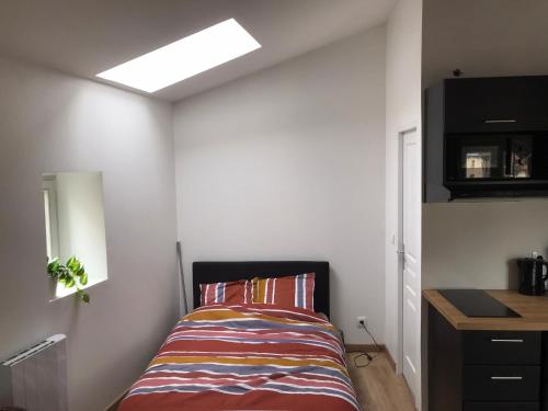 1 dormitorio con 1 cama y tragaluz en Le Petit Sault - Super Studio refait à neuf proche des commerces NaionalN3, en Royat