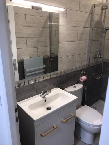 une salle de bain avec un lavabo, des toilettes et un miroir dans l'établissement Le Petit Sault - Super Studio refait à neuf proche des commerces NaionalN3, à Royat