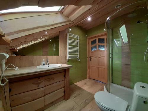 ein Badezimmer mit Waschbecken und Toilette in der Unterkunft Agroturystka Stylowy Apartament nad Stajnią in Krajno-Zagórze