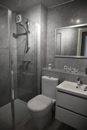 Un baño con inodoro, ducha y lavabo. en The Cluthar - Ground Floor West End City Centre Rockvilla flat & Parking, en Glasgow