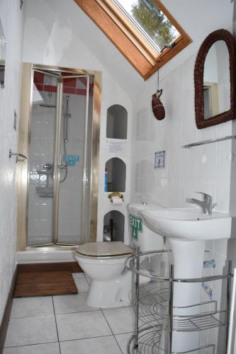 une salle de bain avec toilettes, lavabo et douche dans l'établissement La Grande Mardelle - 