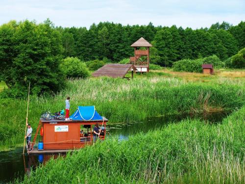 un pequeño barco con techo azul en un río en Biebrza 24 en Sztabin