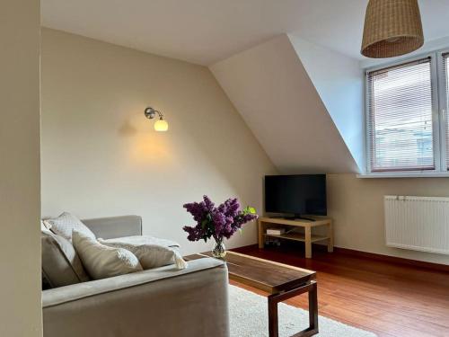 Televízia a/alebo spoločenská miestnosť v ubytovaní Apartament Hemingwaya