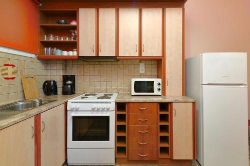 een keuken met een wit fornuis en een magnetron bij Venias Two-Bedroom apartment Kallimarmaro and Zappeio area in Athene