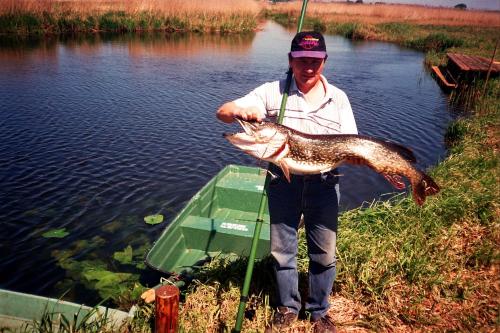 a man holding a large fish in a body of water at Biebrza24 - Agroturystyka in Sztabin
