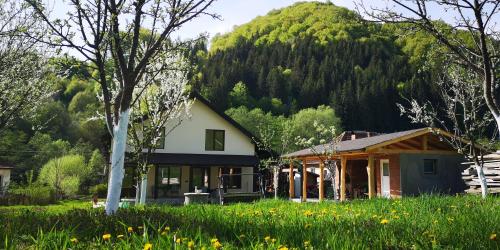 uma casa num campo com uma montanha ao fundo em Casa de vacanță Edya em Petroşani