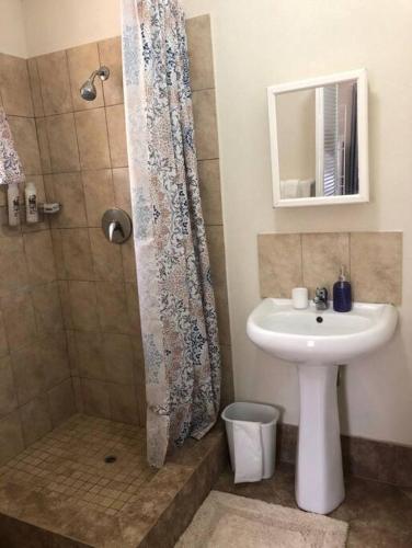 a bathroom with a shower and a sink at Kelly's Studio Apartment - Rental near Airport, Amenities and Bus Route in Saint Philip