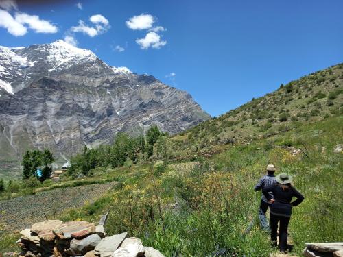 two people walking up a hill with a mountain in the background at Lahaul Home Stay Sumnam in Tāndi