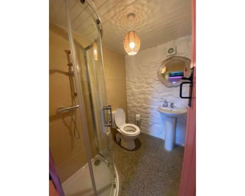 a bathroom with a shower and a toilet and a sink at Slieve Gullion Getaways in Meigh