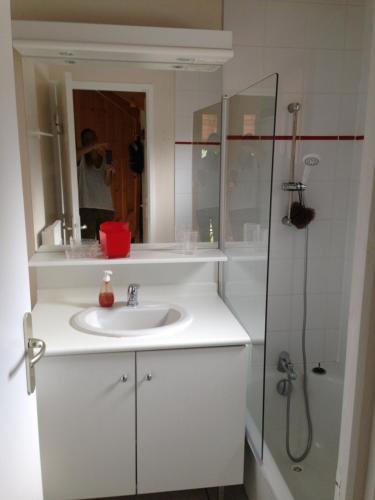 a white bathroom with a sink and a shower at Le petit chalet Les Flocons du soleil in Le Dévoluy