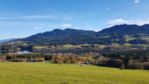 a green field with a lake and mountains in the background at Alpenflair in Wertach