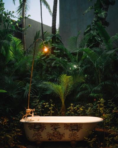 an old bath tub in a garden with plants at Casa Malca in Tulum