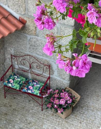 Κήπος έξω από το Casa da Portela - Sem Igual