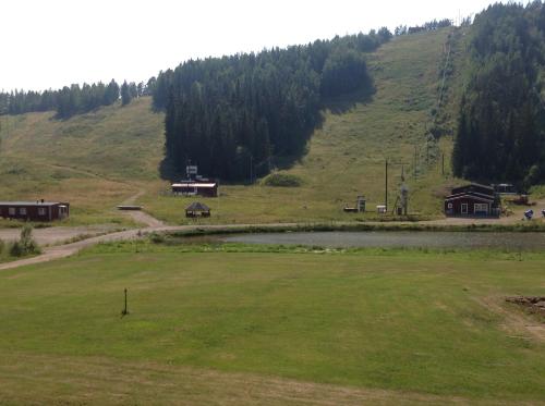 a grassy field with houses on the side of a hill at Bollegården B&B in Bollnäs