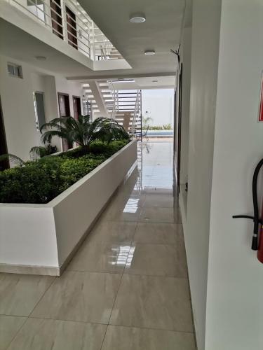 Gallery image of Hostal Las Orquideas in Manta