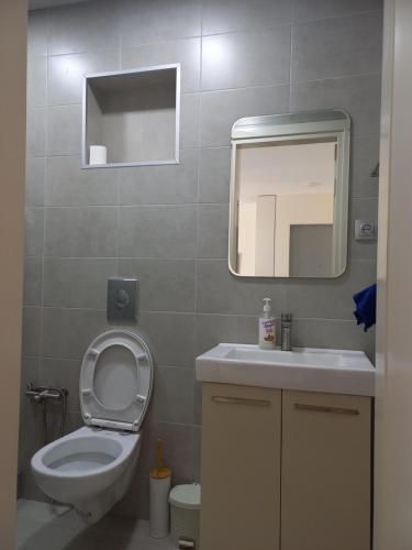 een badkamer met een toilet, een wastafel en een spiegel bij Tamas house in Batoemi