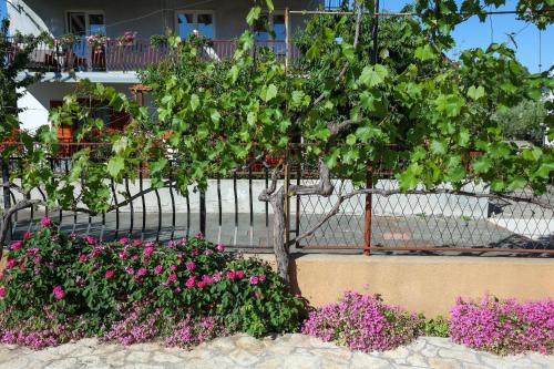 Apartments and Rooms Sinka