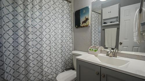 a bathroom with a sink and a toilet and a shower at Elegant Cozy Oasis on a traffic free street in Clearwater