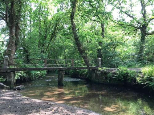 a wooden bridge over a stream in a forest at A woodland retreat - Apartment in converted mill in Helston