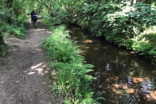 a person riding a bike on a path next to a stream at A woodland retreat - Apartment in converted mill in Helston