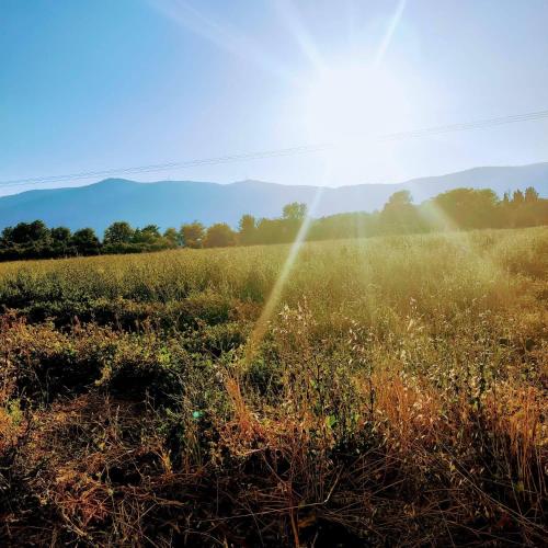a field with the sun shining on the grass at אחוזת המייסדים in Bet Hillel