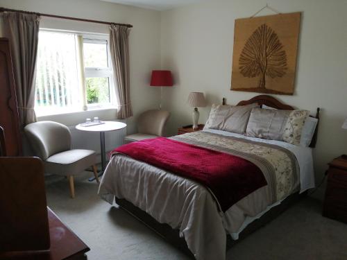 a bedroom with a bed and a table and a window at Cúl Draíochta B&B in Cahersiveen