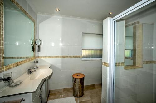 a bathroom with a sink and a shower at Penguinden - load-shedding free in Simonʼs Town