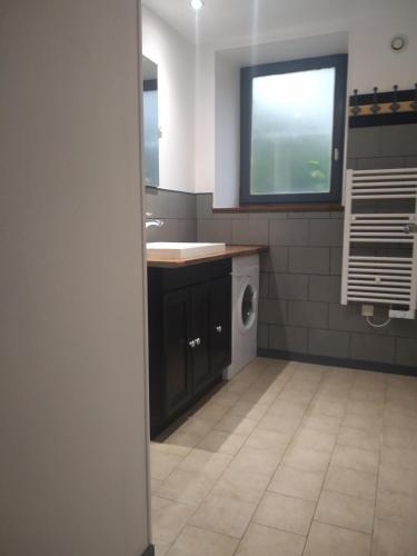 une salle de bain avec un lavabo et une machine à laver dans l'établissement Gite Jouvin, à Cerences