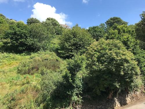 een groep bomen op een heuvel met een huis op de achtergrond bij Cosy retreat in beautiful Cornwall in Helston