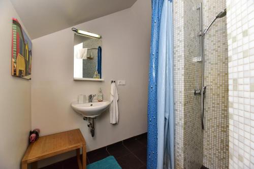 a bathroom with a sink and a shower at Kotedžai GULBĖS TAKAS Šventojoje in Šventoji