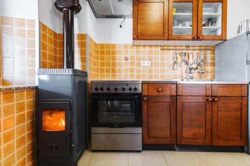 a kitchen with a stove and a stove top oven at Stone house on the Batalaža Beach - Kali in Kali