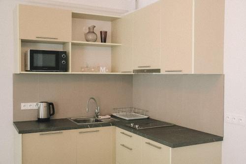 Кухня или мини-кухня в Apartments Moravská 24
