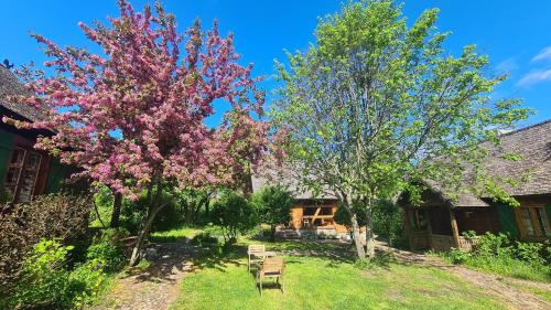 a garden with a flowering tree and a house at Cisowe Wzgórze in Rowele