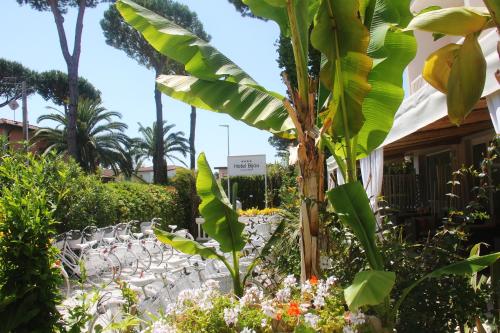 Φωτογραφία από το άλμπουμ του Hotel Bijou στο Φόρτε ντε Μάρμι