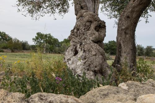 Le Grotte di Sileno – Photos 3