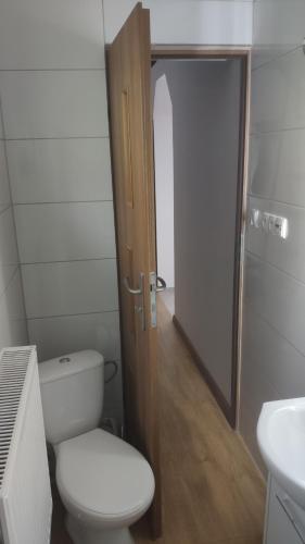 a bathroom with a toilet and a sink at Domek na Górce in Krościenko