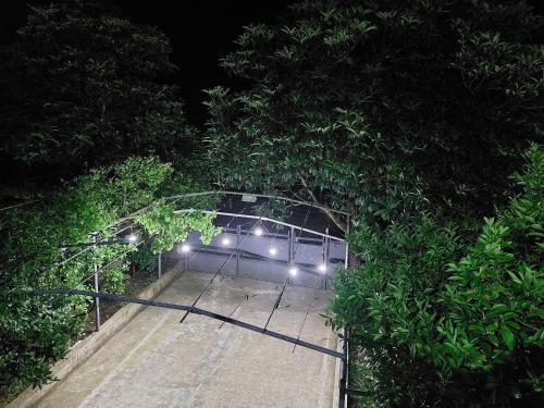 a walkway with lights in a forest at night at Lakeside Green Balcony Home in Tskaltubo