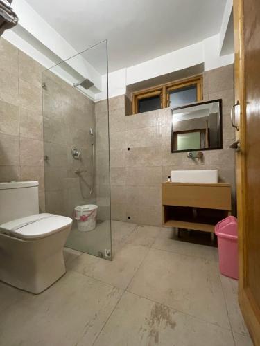 a bathroom with a toilet and a sink and a shower at Hotel Ladakh Greens in Leh