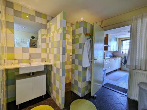 Boven-Leeuwen的住宿－De Slaapmus，一间带水槽和镜子的浴室