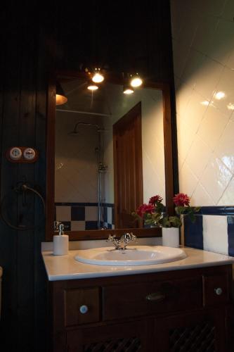 a bathroom with a sink and a large mirror at Casa La Pumarada de Villaviciosa in Villaviciosa