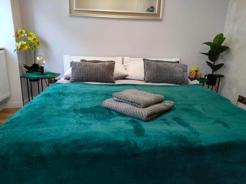 ein grünes Bett mit zwei Kissen darüber in der Unterkunft Mieszkanie w kamienicy in Dzierżoniów