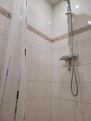 een badkamer met een douche en een douchegordijn bij Westerslag in Lathen