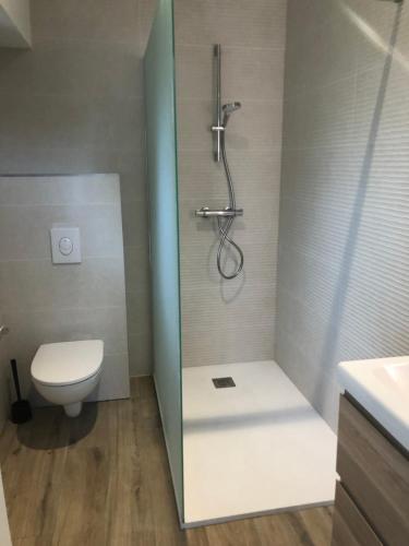 a bathroom with a shower and a toilet in it at La grange de l ocean SPA in Linxe