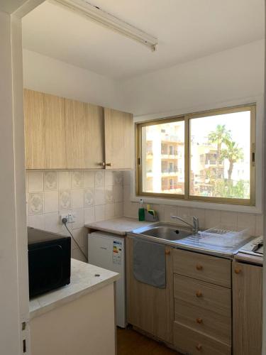 una pequeña cocina con fregadero y ventana en Green Nondas Hill, en Lárnaca