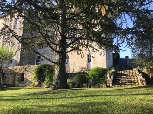 a tree in the grass in front of a building at Château de Bouniagues in Bouniagues