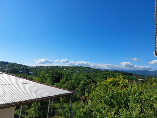 a view from the roof of a building at Lakeside Green Balcony Home in Tskaltubo