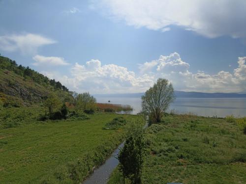 a path in a field next to a body of water at Vila Sara in Ohrid