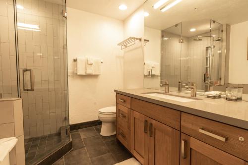 帕克城的住宿－Powder Run 2 Bedroom and loft by Lespri Property Management，一间带水槽、卫生间和镜子的浴室